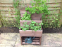 3 tiered planter