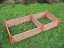 Standard Wooden Raised Bed with Module