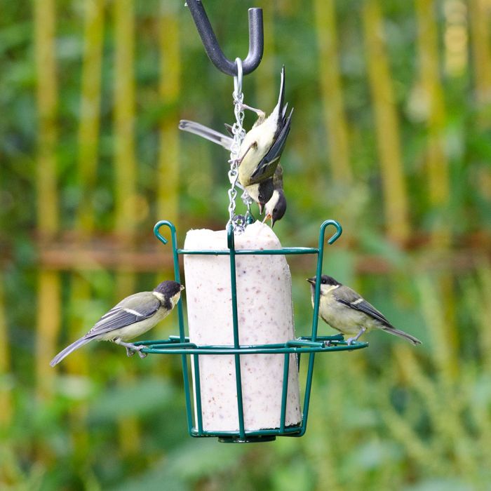 CJ Wildlife Metal Peanut Cake Feeder