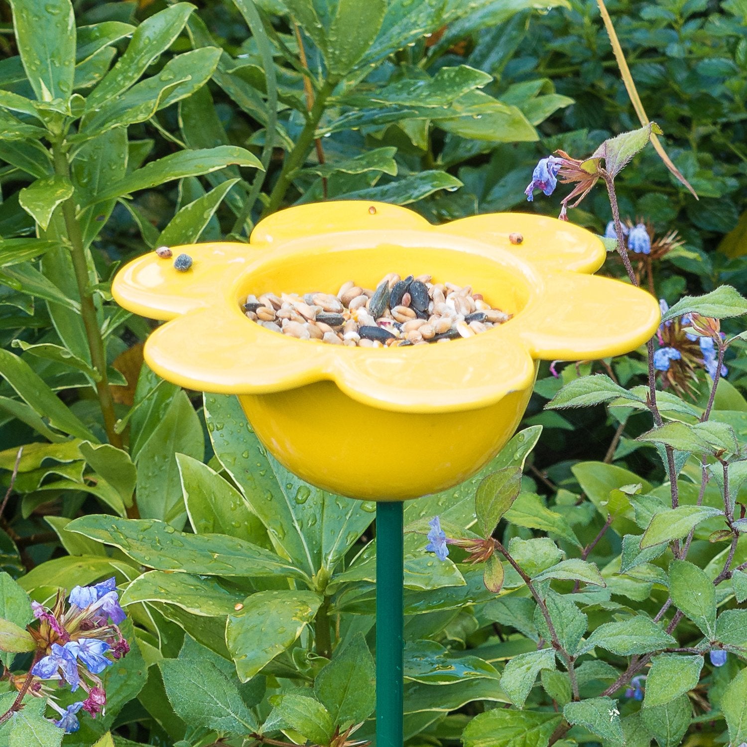 Wildlife World Petal Bird Feeder Yellow