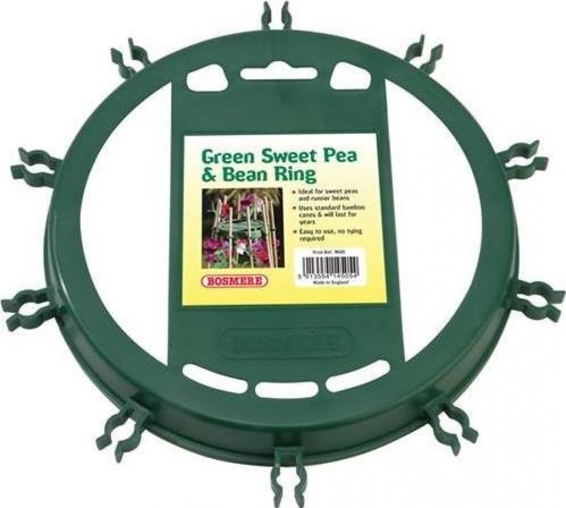 Sweet Pea and Bean Ring Green