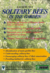 Field Guide to Solitary Bees