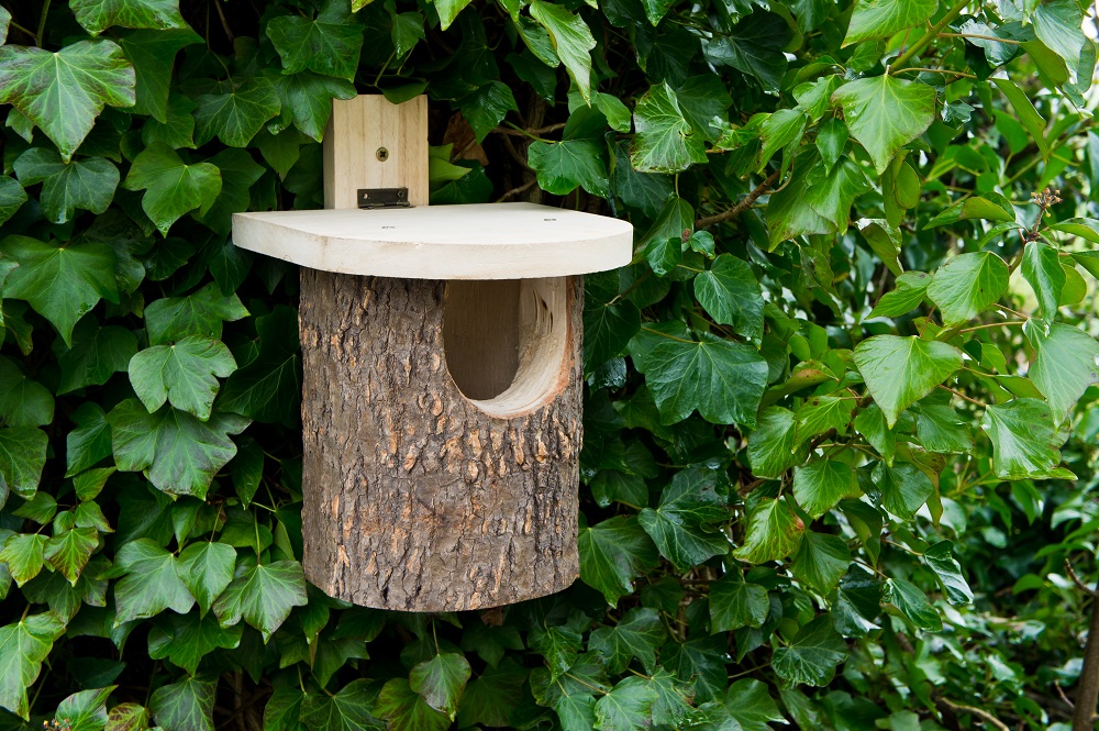Wildlife World Natural Log Robin Nest Box
