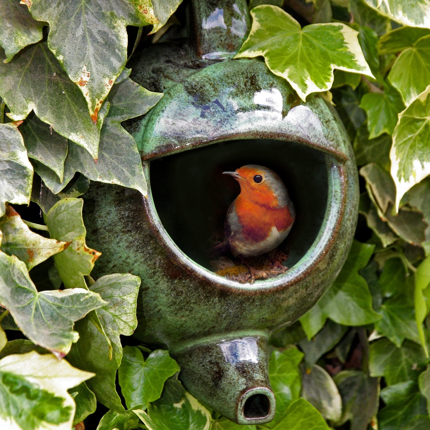 Wildlife World Open Fronted Green Teapot Bird Nester and Nest Box